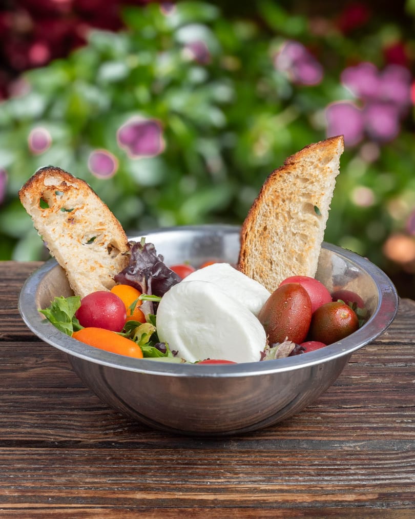 Caprese salad with fresh mozzarella, colorful tomatoes, mixed greens, and toasted bread in a metal bowl.